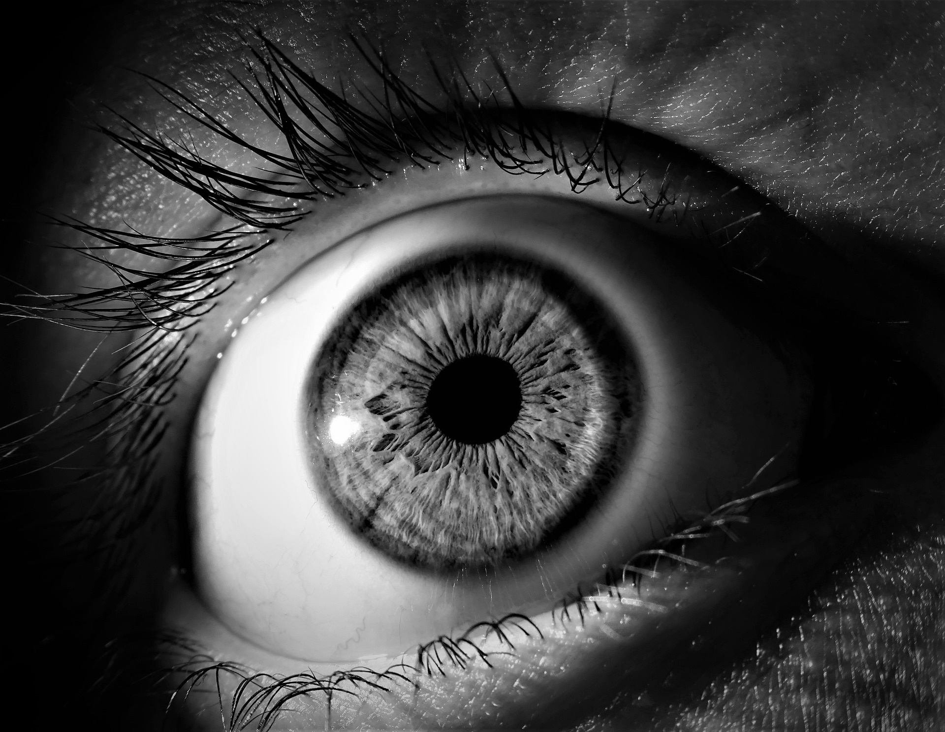 Kurza ślepota – przyczyny, objawy i sposób leczenia